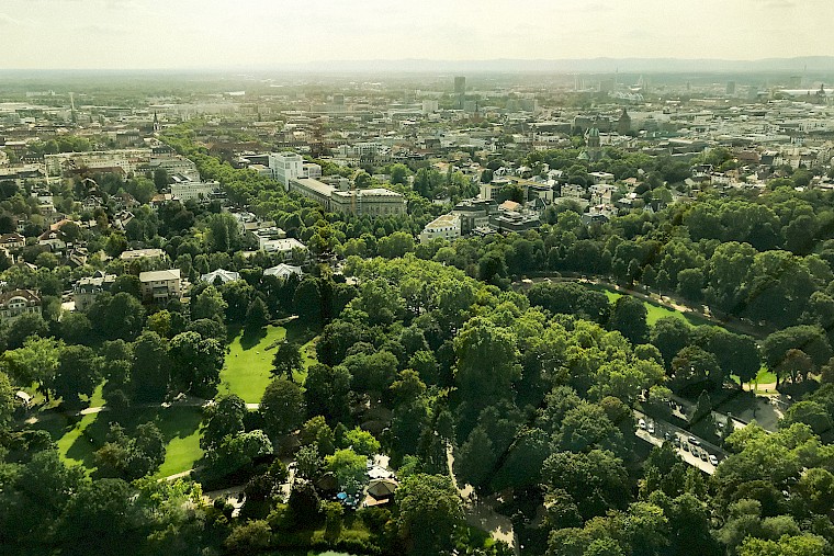 City with lots of green spaces and trees.