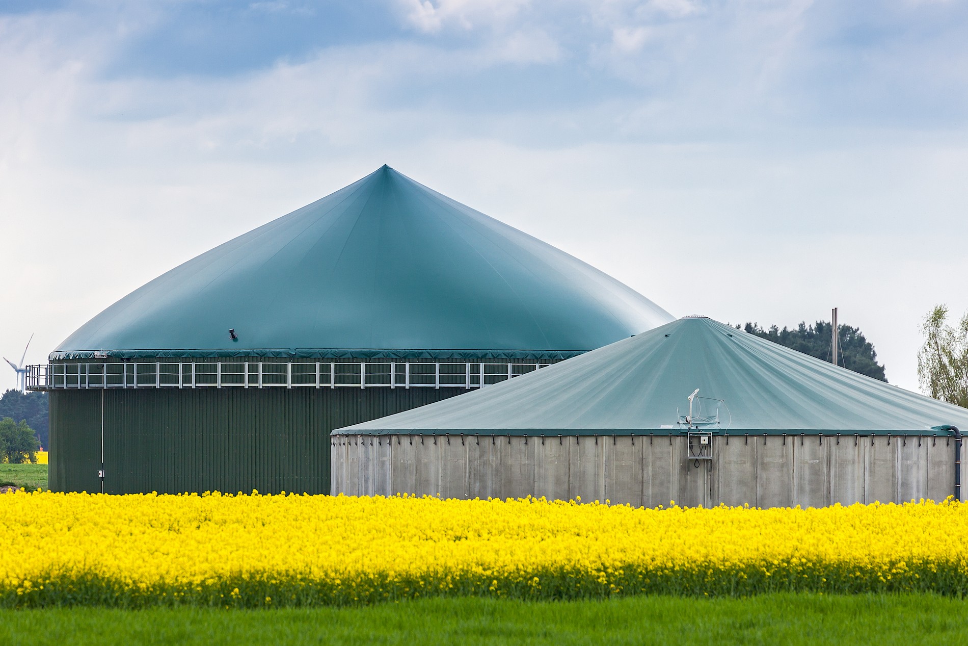 Biogas plant in the middle of a rapeseed field.