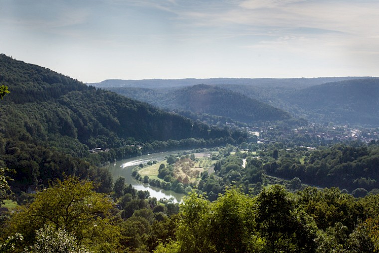 Waldlandschaft mit einem Tal und einer Flussbiegung.