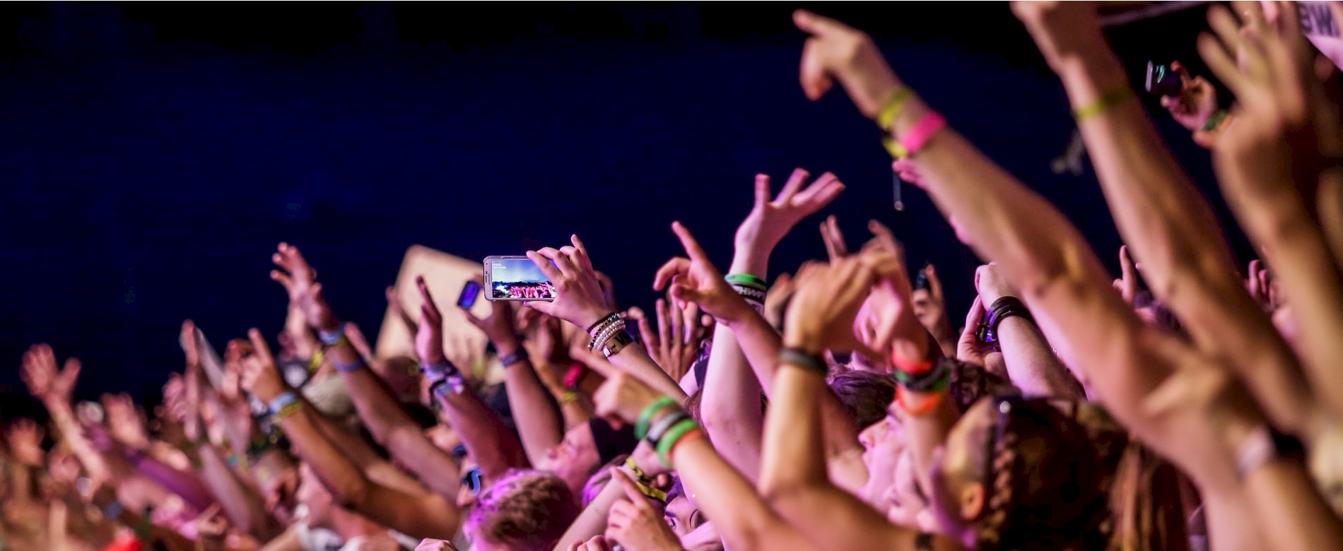 People celebrate together at a concert.